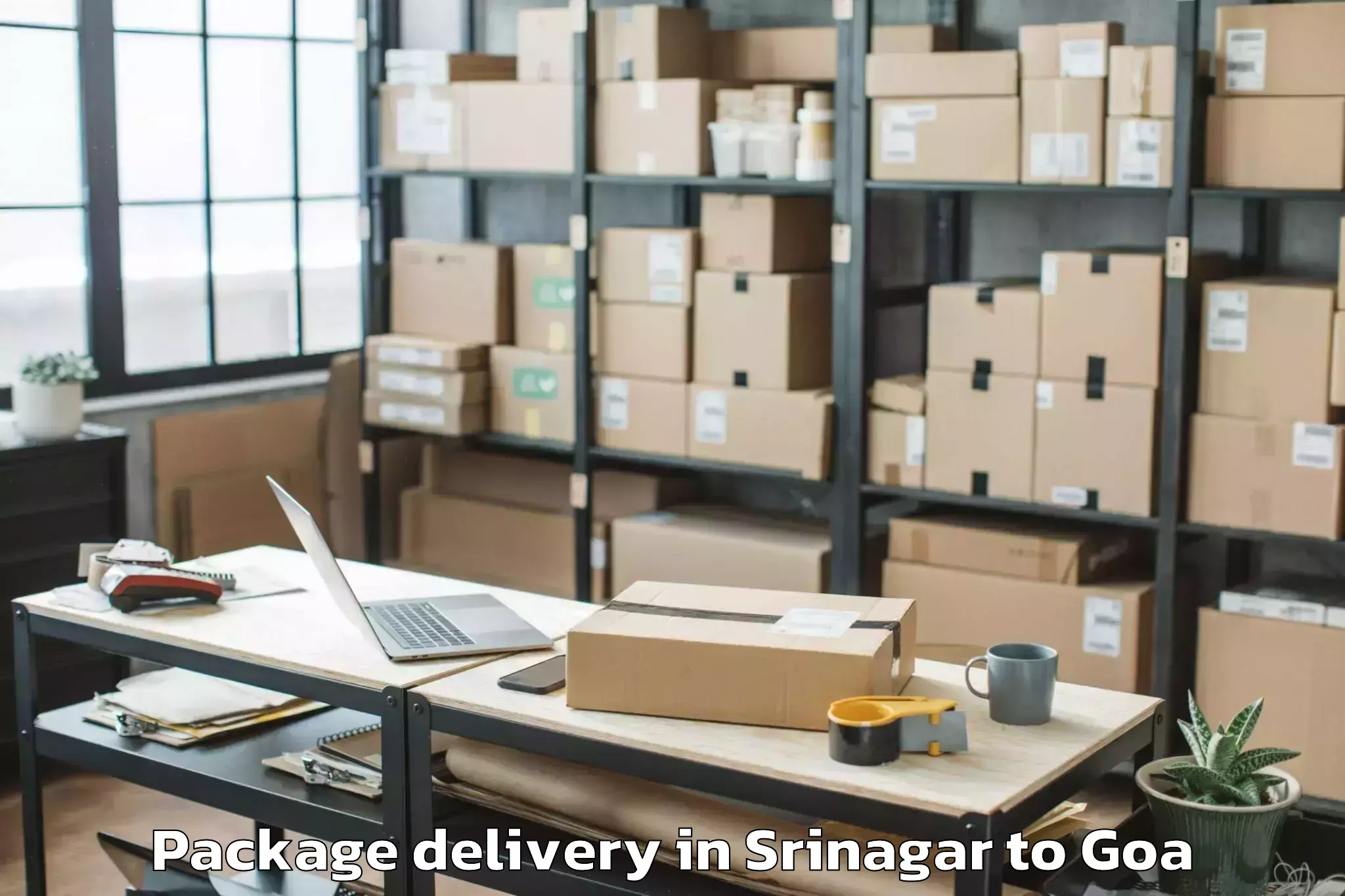 Srinagar to Goa Velha Package Delivery